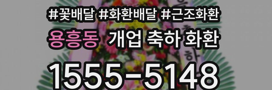 용흥동 개업 축하 화환