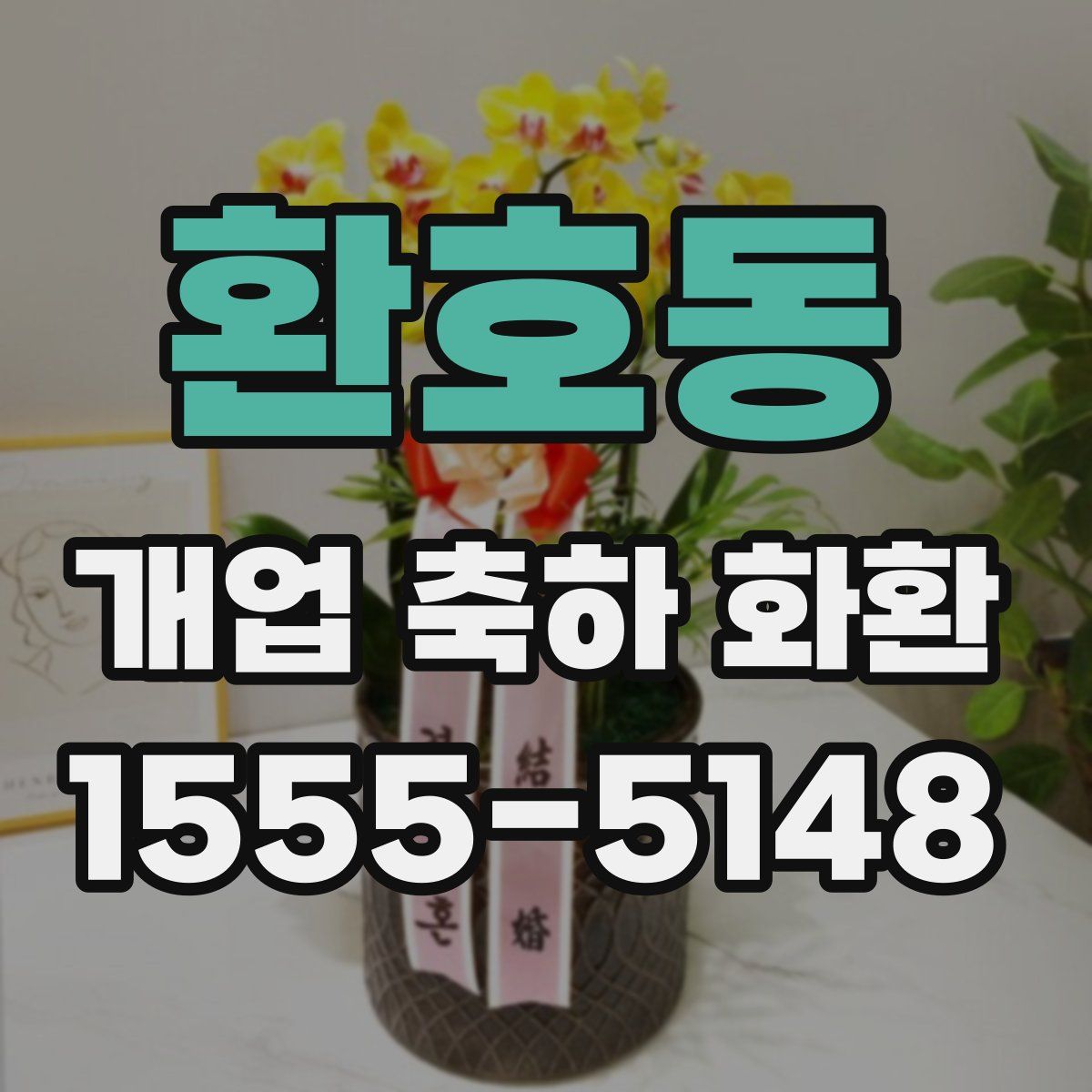 환호동 개업 축하 화환