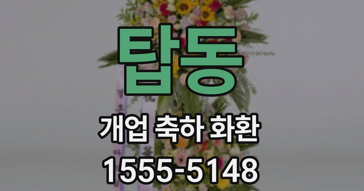 탑동 개업 축하 화환