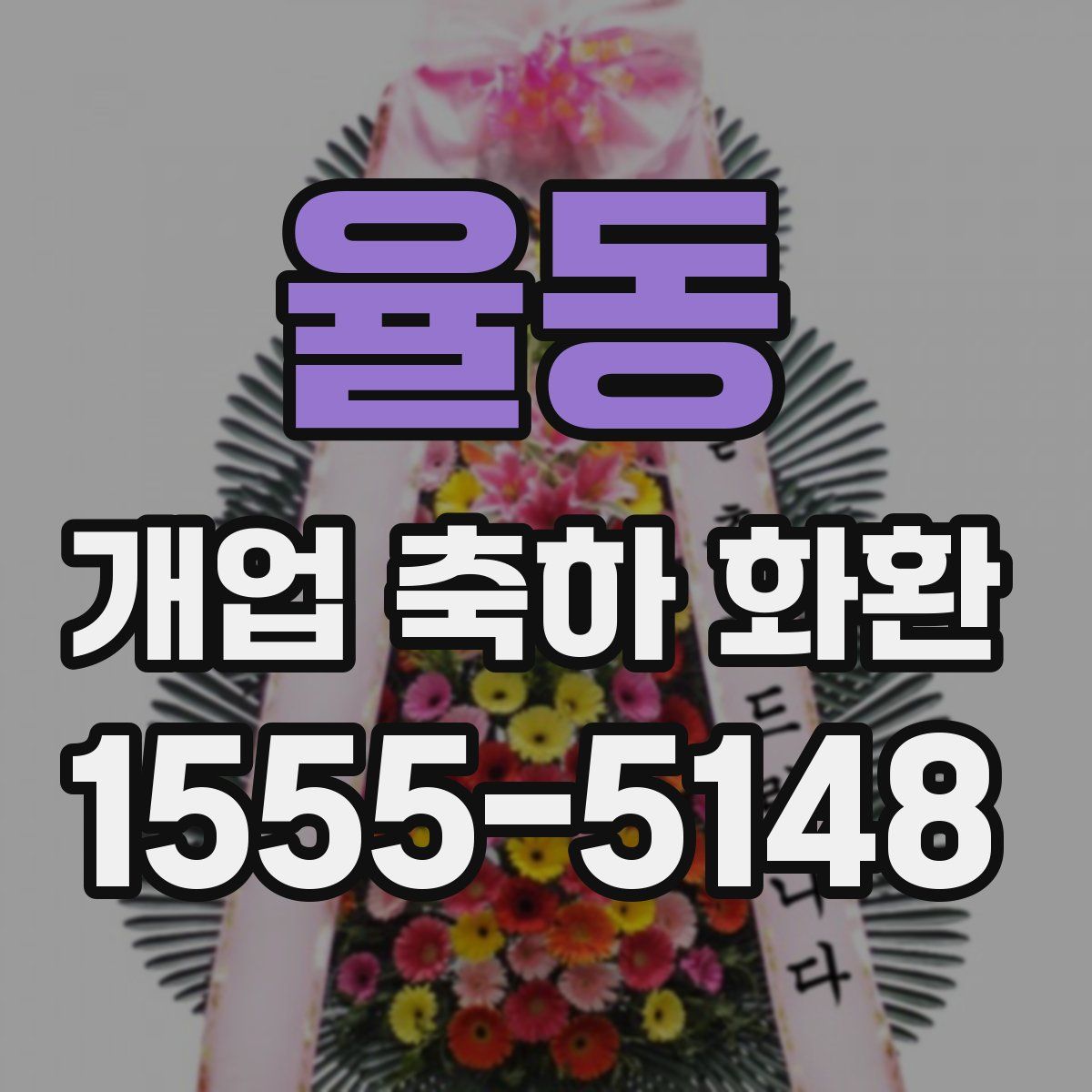 율동 개업 축하 화환
