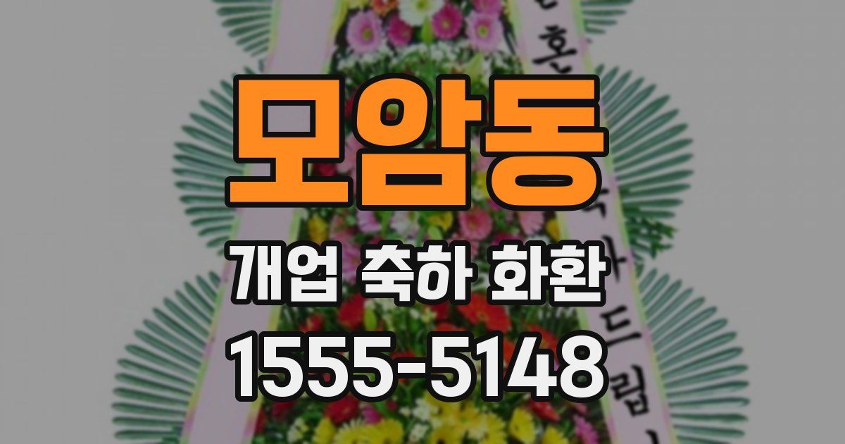 모암동 개업 축하 화환