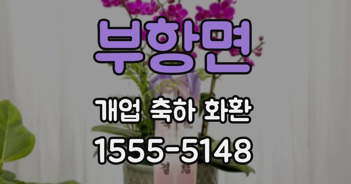 부항면 개업 축하 화환