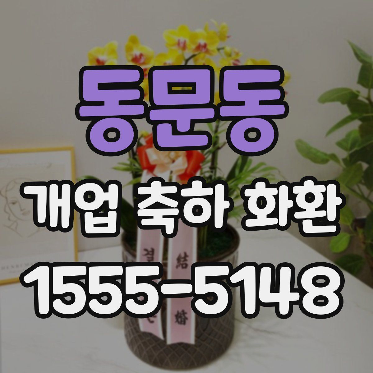 동문동 개업 축하 화환