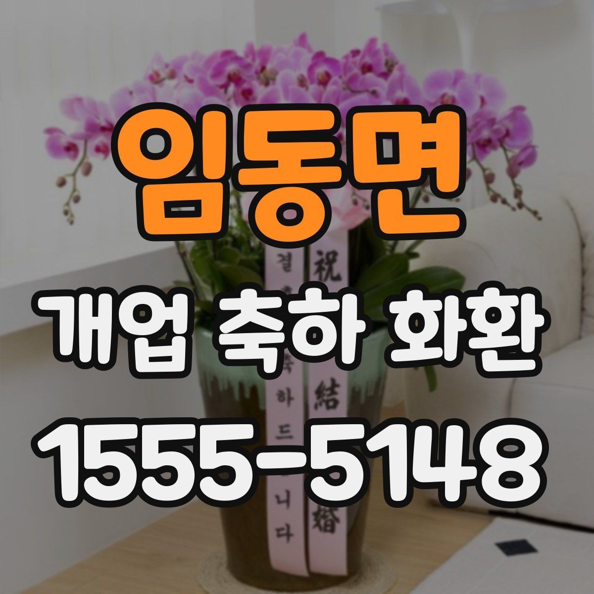 임동면 개업 축하 화환 당일 취소 정책 살펴보기
