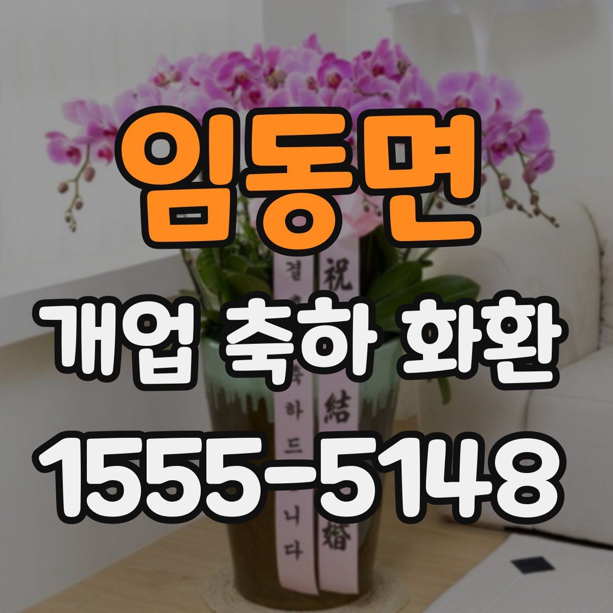 임동면 개업 축하 화환