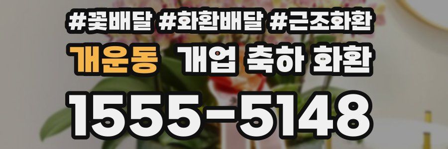 개운동 개업 축하 화환