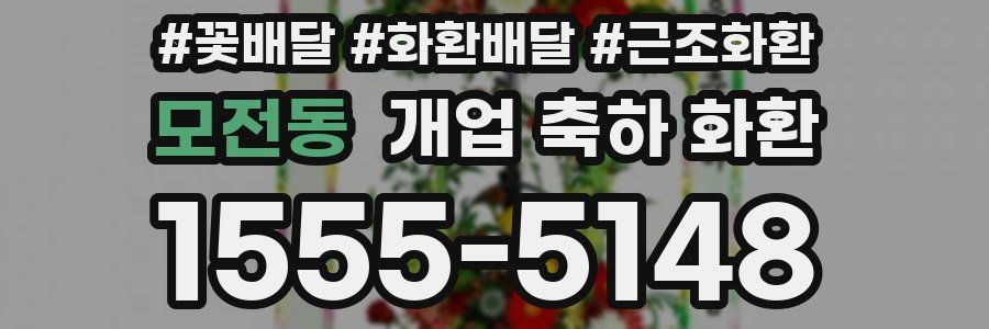 모전동 개업 축하 화환