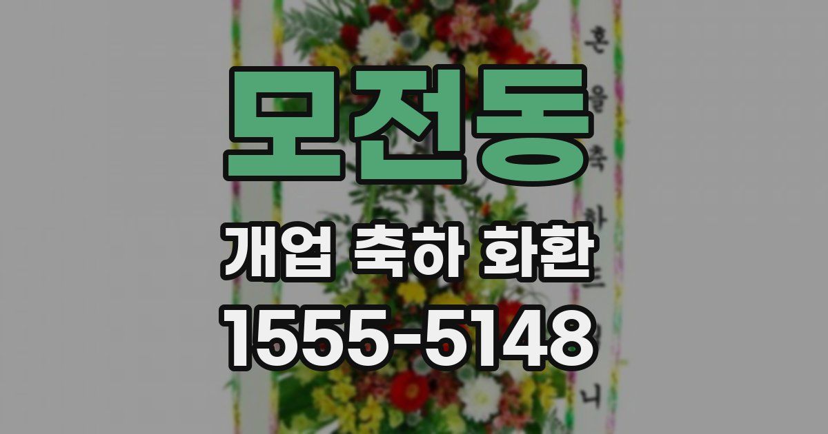 모전동 개업 축하 화환