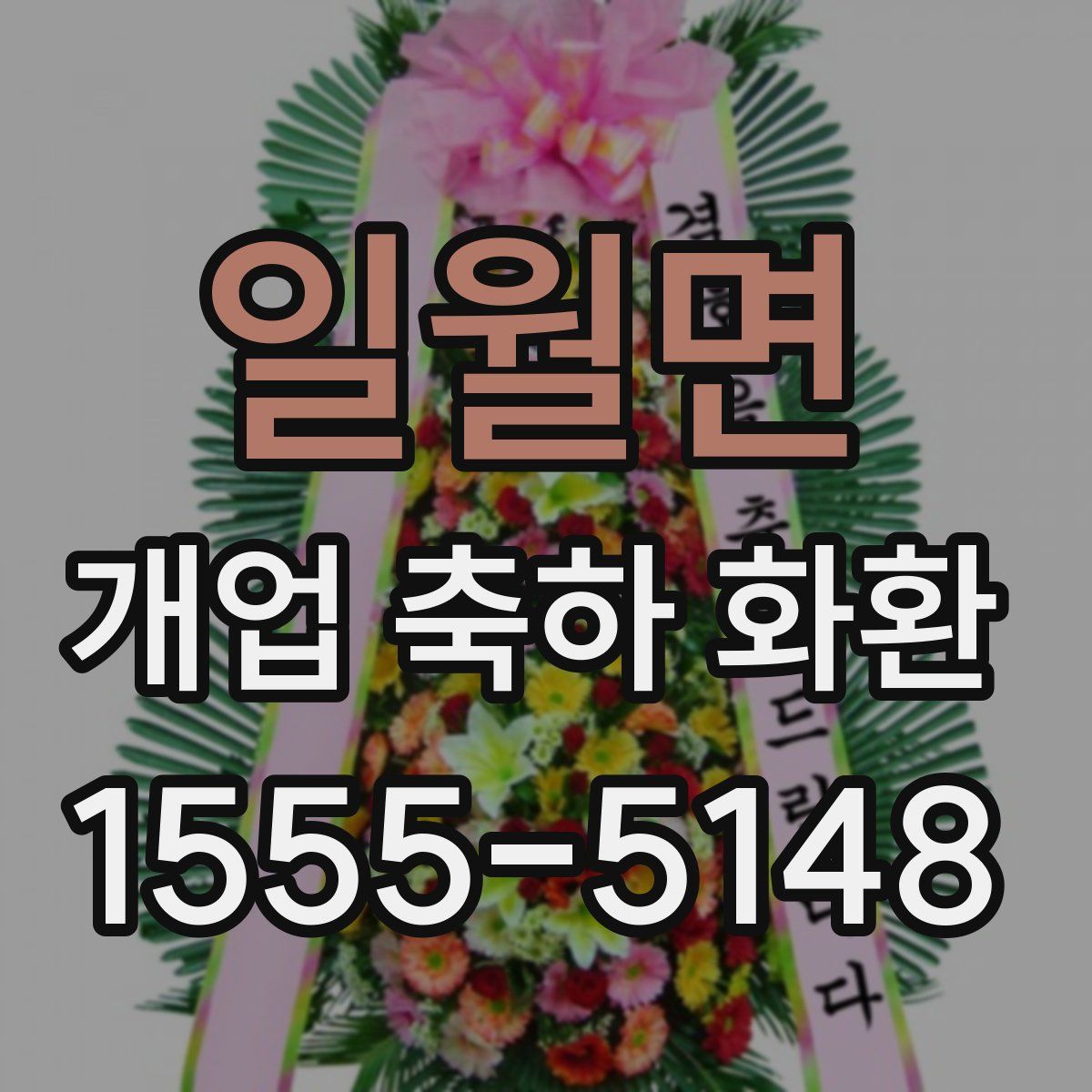 일월면 개업 축하 화환