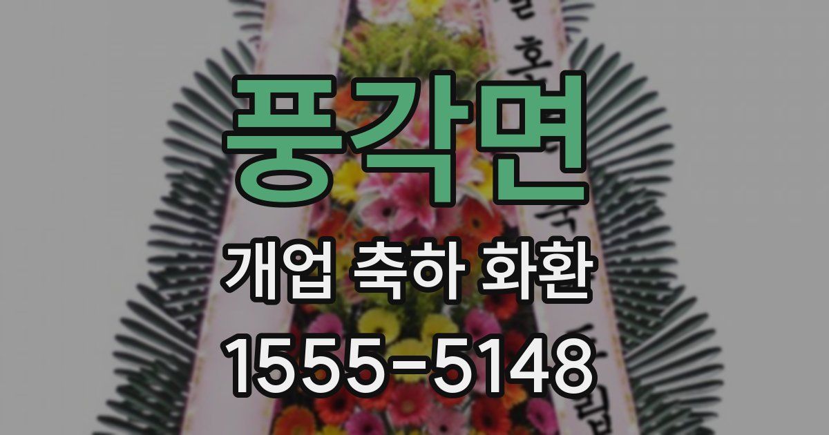 풍각면 개업 축하 화환