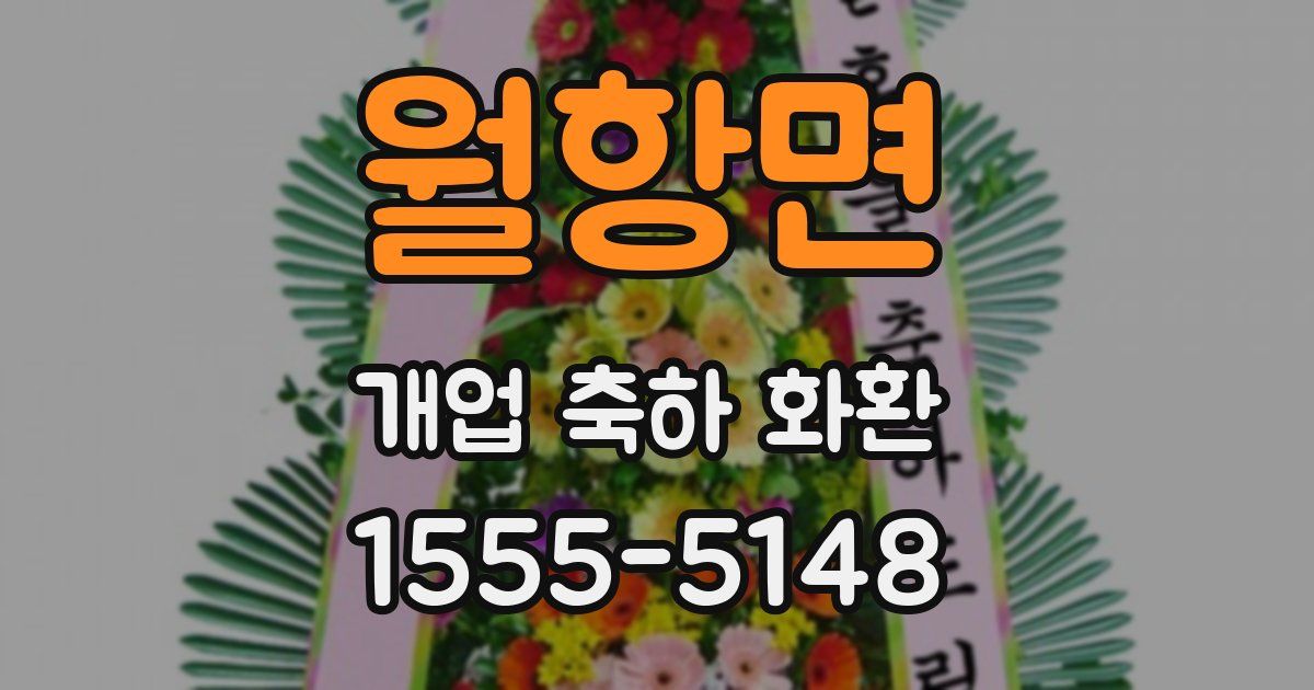 월항면 개업 축하 화환