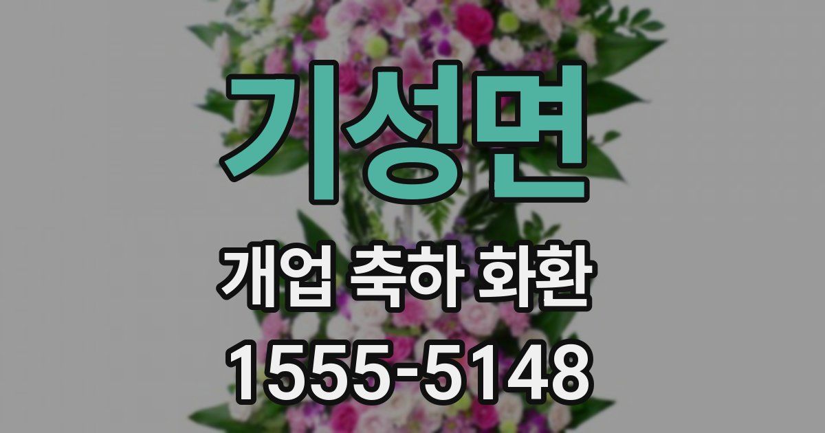 기성면 개업 축하 화환