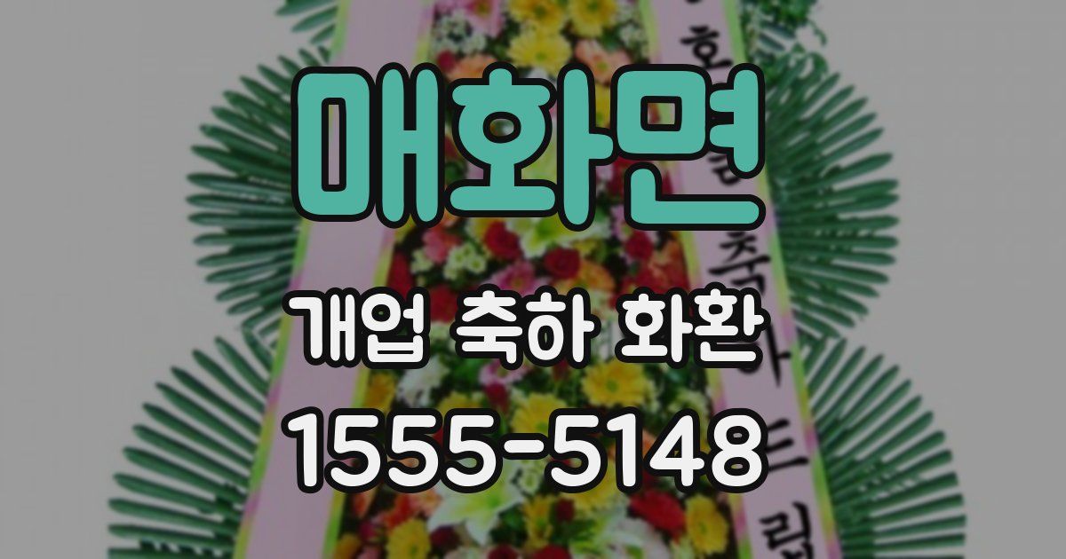 매화면 개업 축하 화환