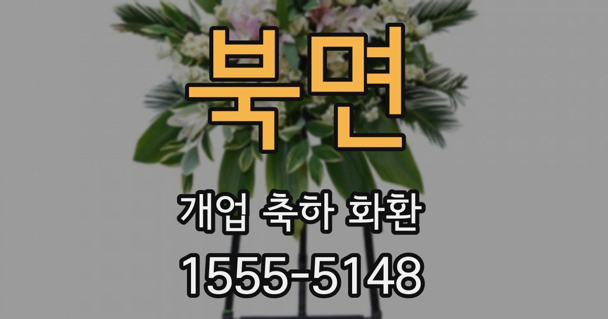 북면 개업 축하 화환