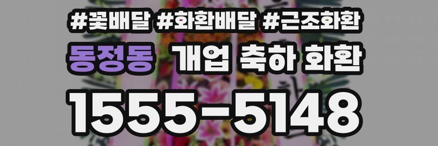 동정동 개업 축하 화환
