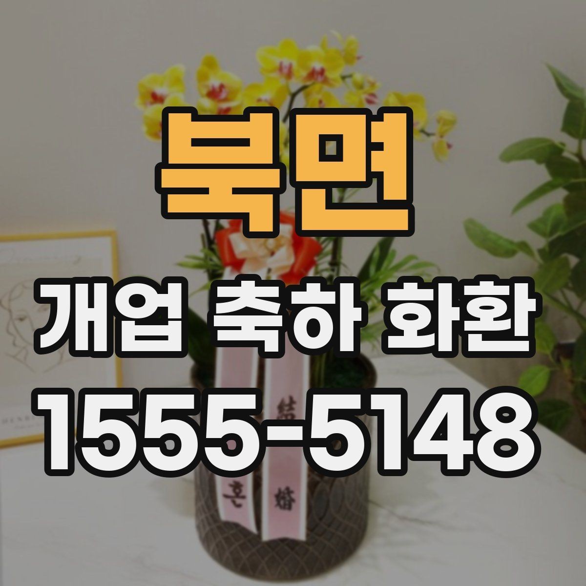 북면 개업 축하 화환 공간이 좁을 때 선택 기준