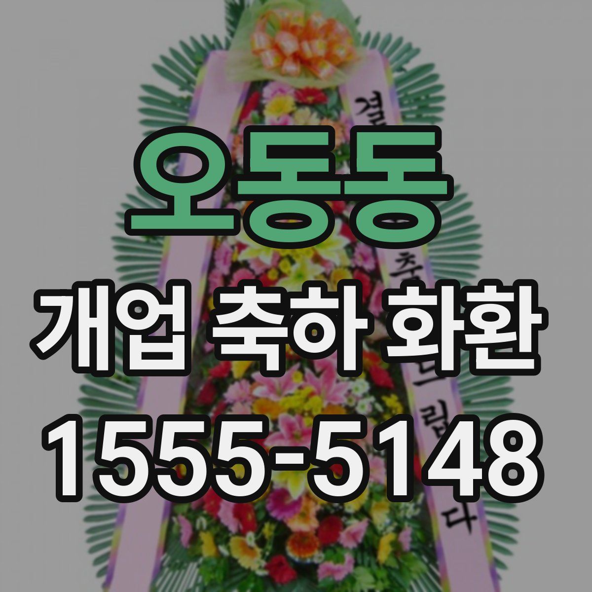 오동동 개업 축하 화환