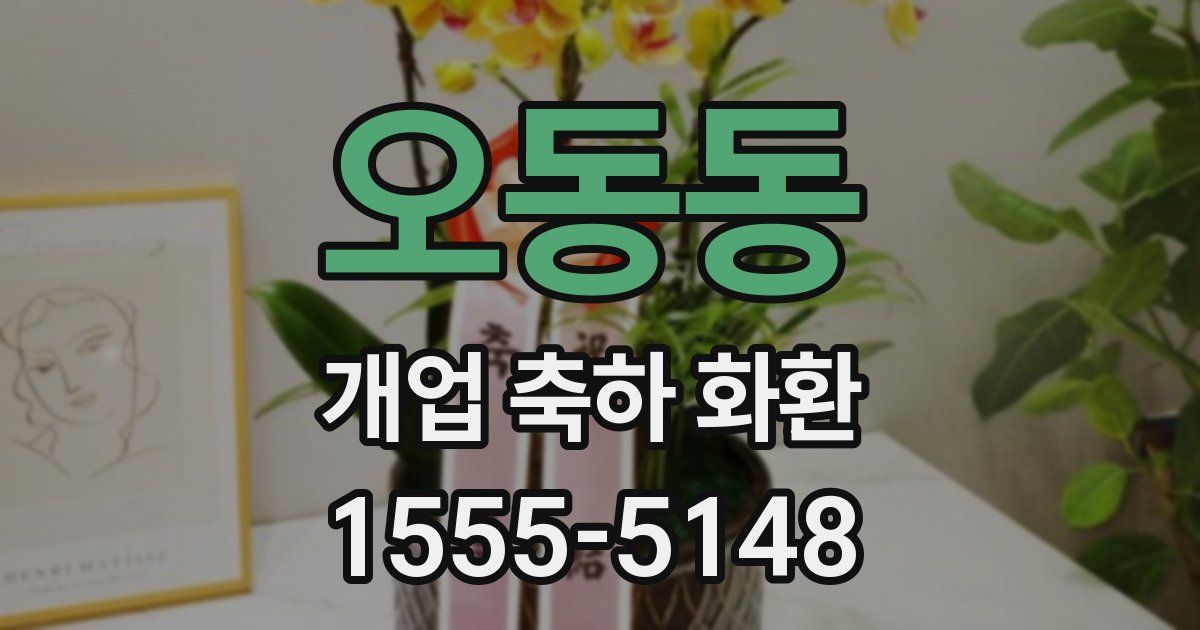 오동동 개업 축하 화환