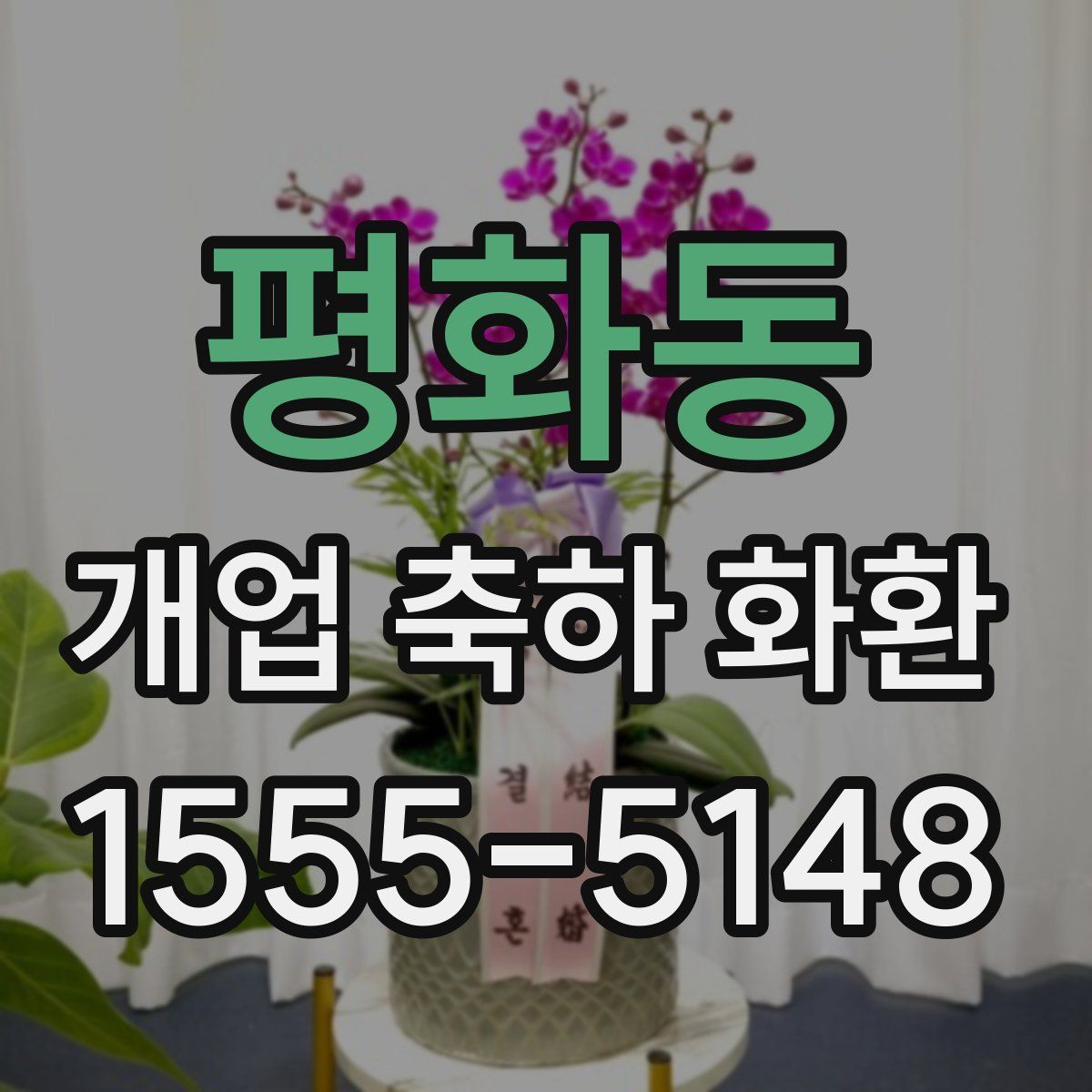 평화동 개업 축하 화환
