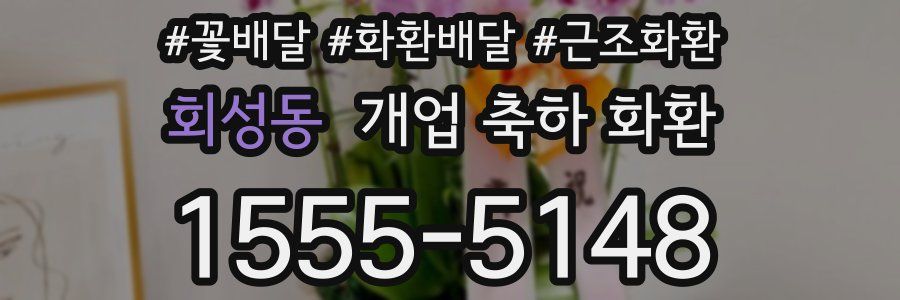 회성동 개업 축하 화환
