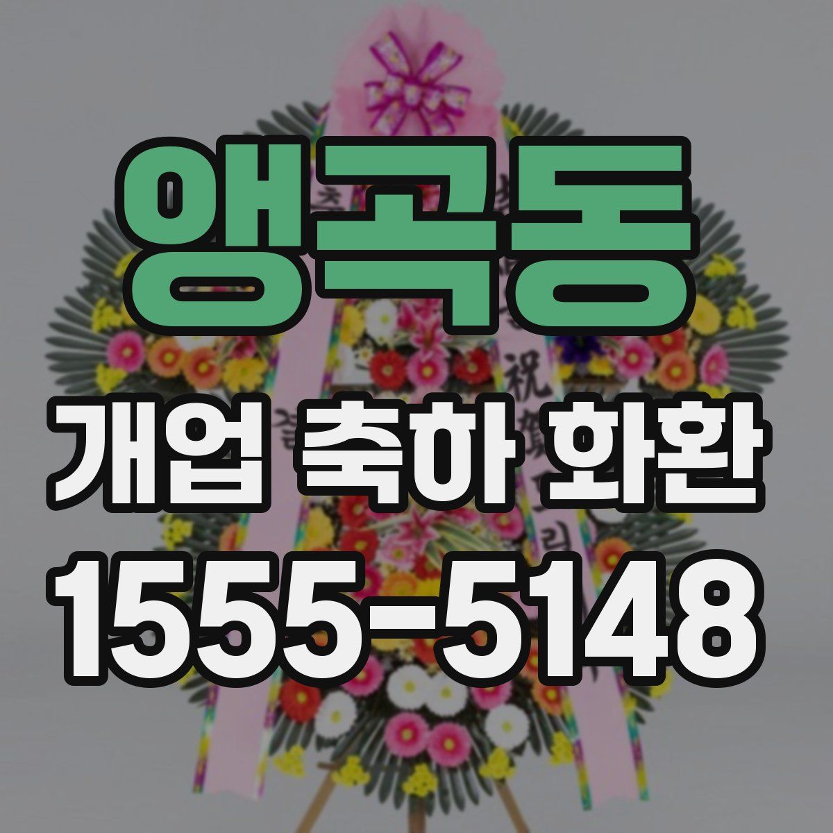 앵곡동 개업 축하 화환