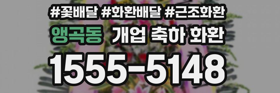 앵곡동 개업 축하 화환
