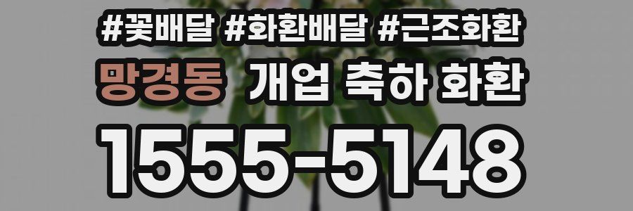 망경동 개업 축하 화환