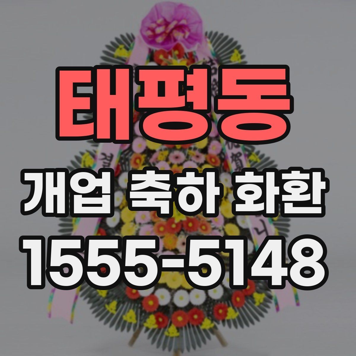 태평동 개업 축하 화환 꽃 종류별 인상 정리