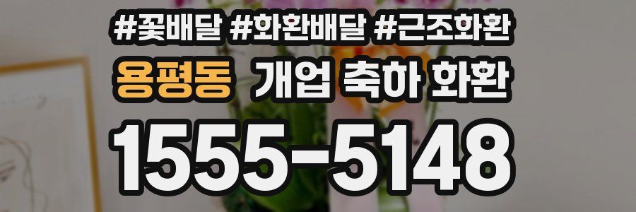 용평동 개업 축하 화환