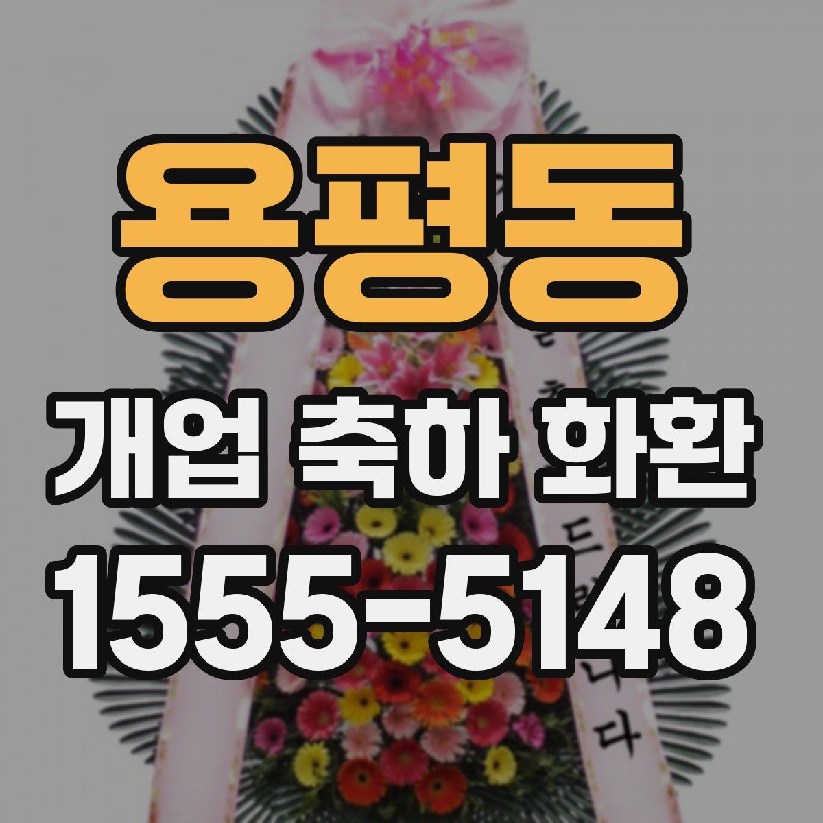 용평동 개업 축하 화환
