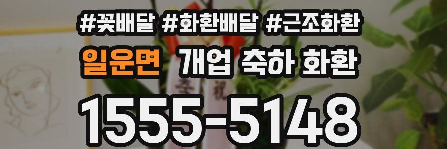 일운면 개업 축하 화환