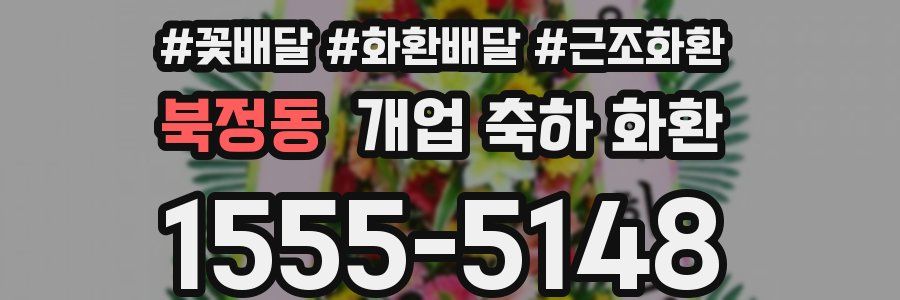 북정동 개업 축하 화환