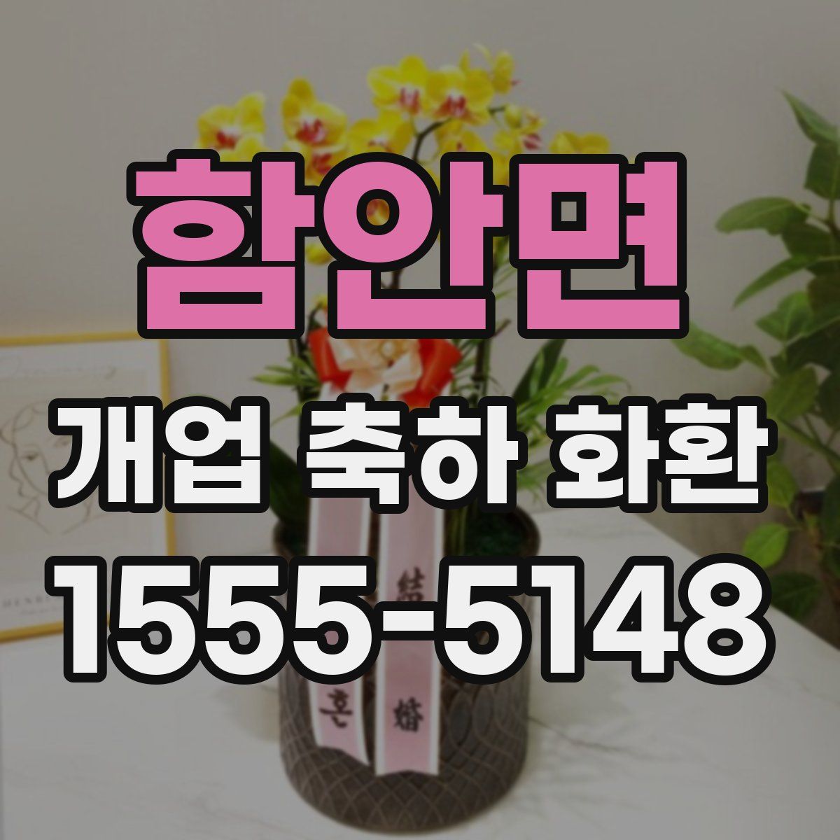 함안면 개업 축하 화환