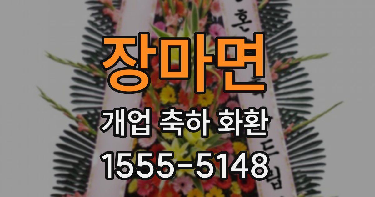 장마면 개업 축하 화환