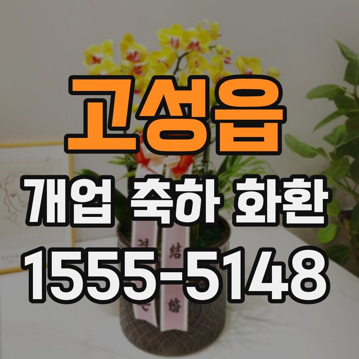 고성읍 개업 축하 화환 주문 실수 줄이는 방법