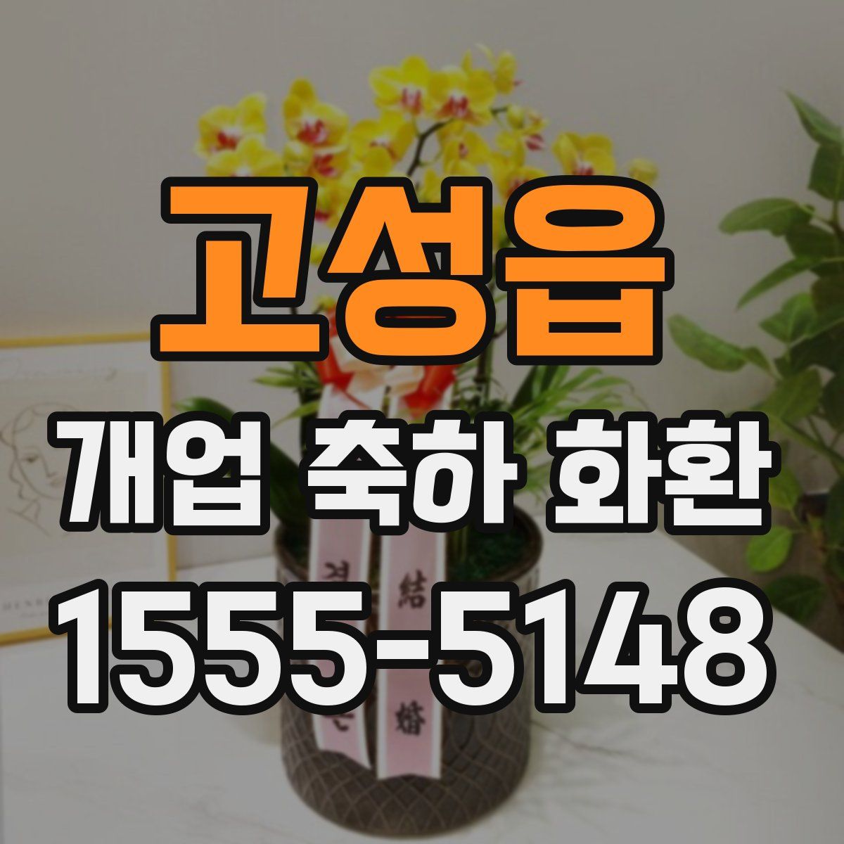 고성읍 개업 축하 화환