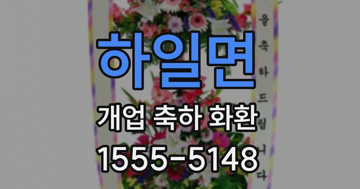 하일면 개업 축하 화환