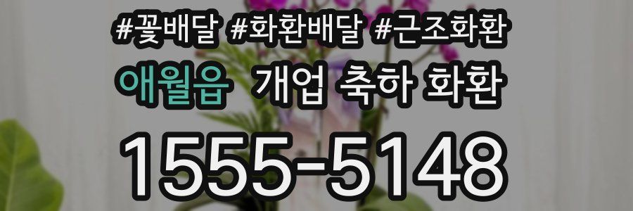 애월읍 개업 축하 화환