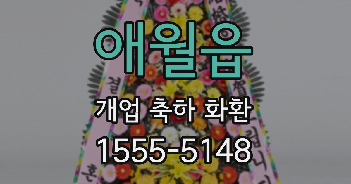 애월읍 개업 축하 화환