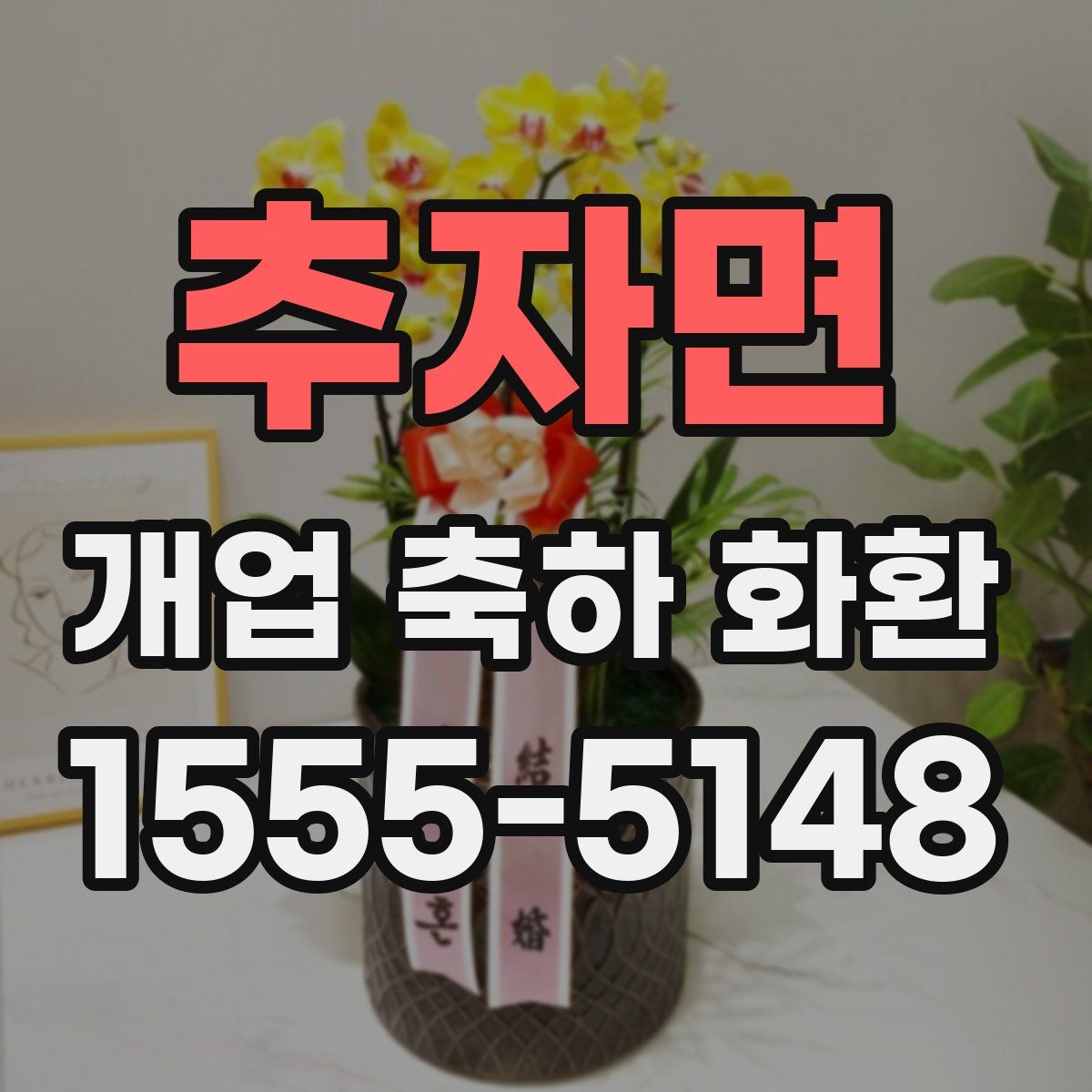 추자면 개업 축하 화환