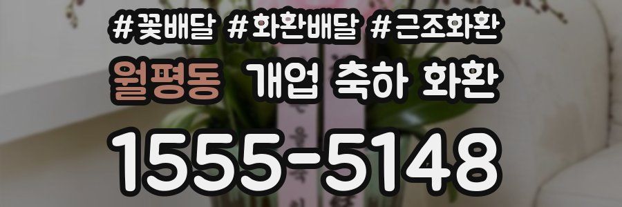 월평동 개업 축하 화환