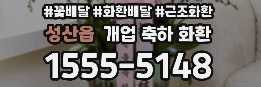 성산읍 개업 축하 화환