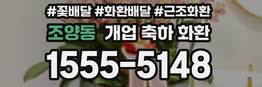 조양동 개업 축하 화환