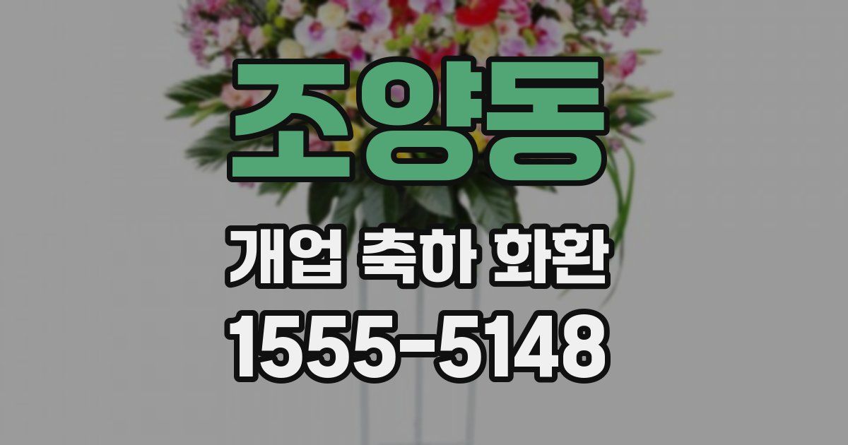 조양동 개업 축하 화환