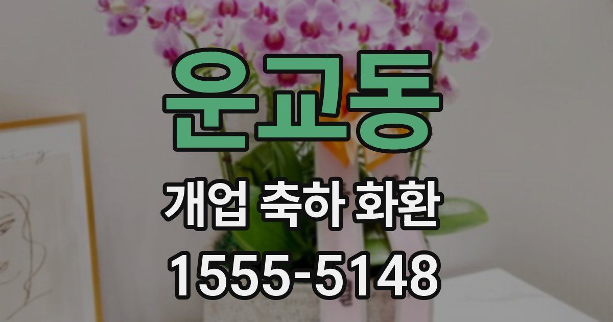 운교동 개업 축하 화환