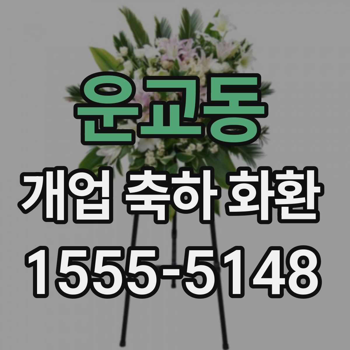 운교동 개업 축하 화환
