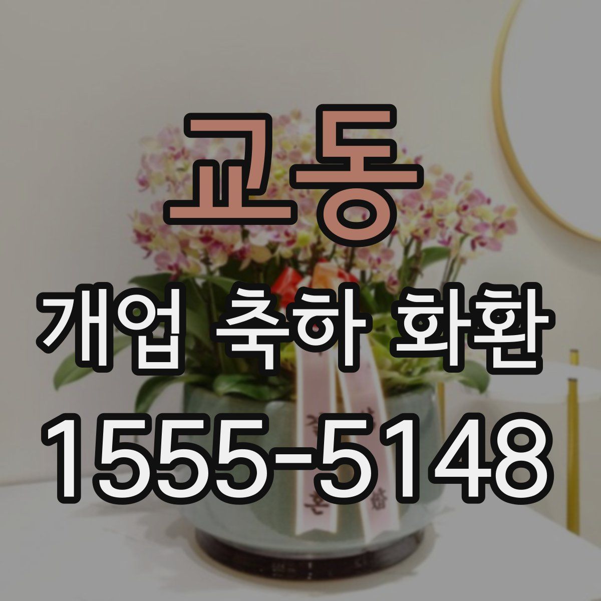 교동 개업 축하 화환