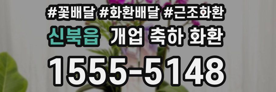 신북읍 개업 축하 화환