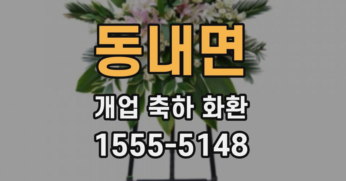 동내면 개업 축하 화환