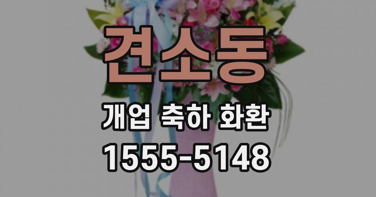 견소동 개업 축하 화환